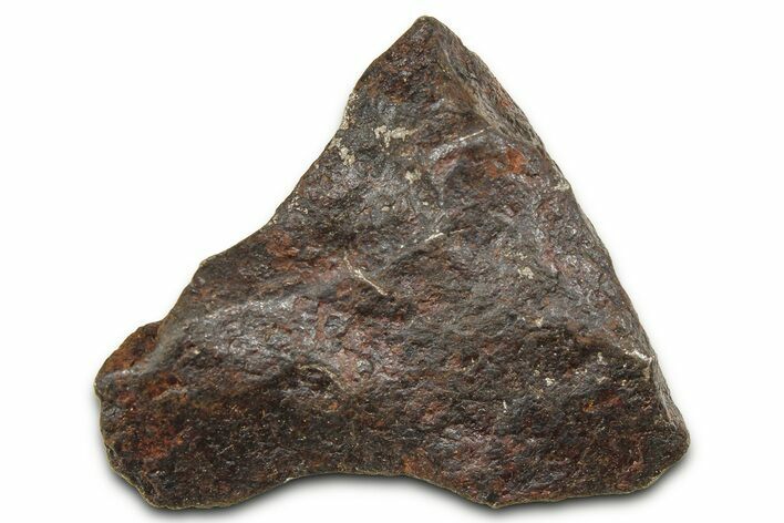 Canyon Diablo Iron Meteorite ( g) - Arizona #382003
